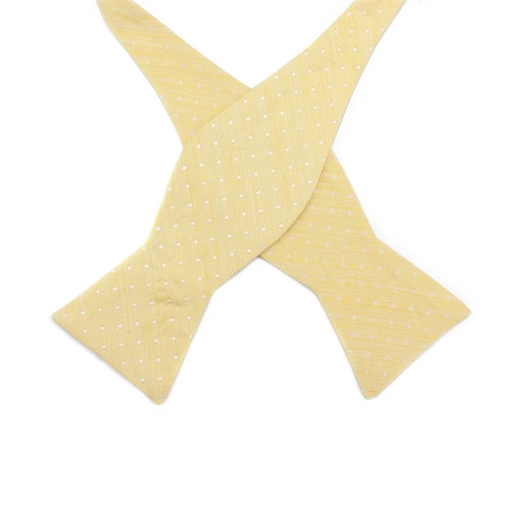 Mens Polka Dot Bow Tie